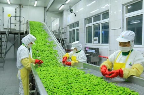 四問富民鄉(xiāng)村產(chǎn)業(yè) 精深加工如何拓展農(nóng)產(chǎn)品增值空間