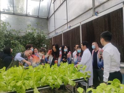 贛勁十足 昌南爭(zhēng)先——江西高速服務(wù)區(qū)因地制宜實(shí)現(xiàn)華麗蝶變